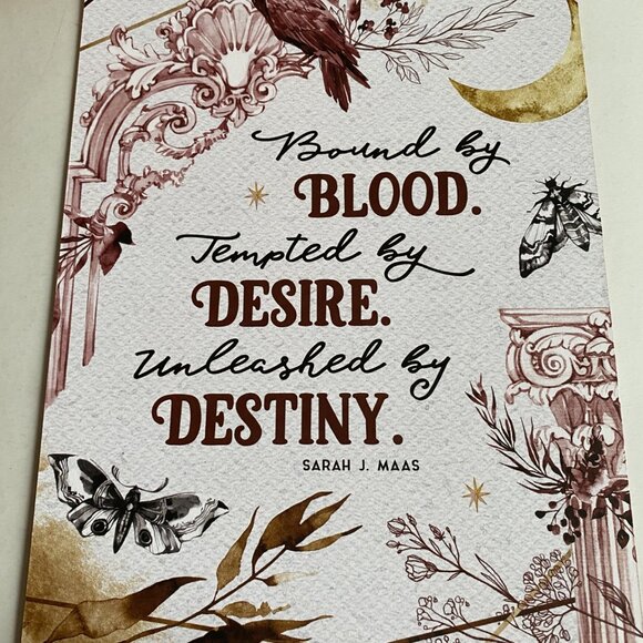 Bryce and Lehabah print, double sided, Crescent City series Sarah J Maas 20 x 15 - Picture 2 of 2